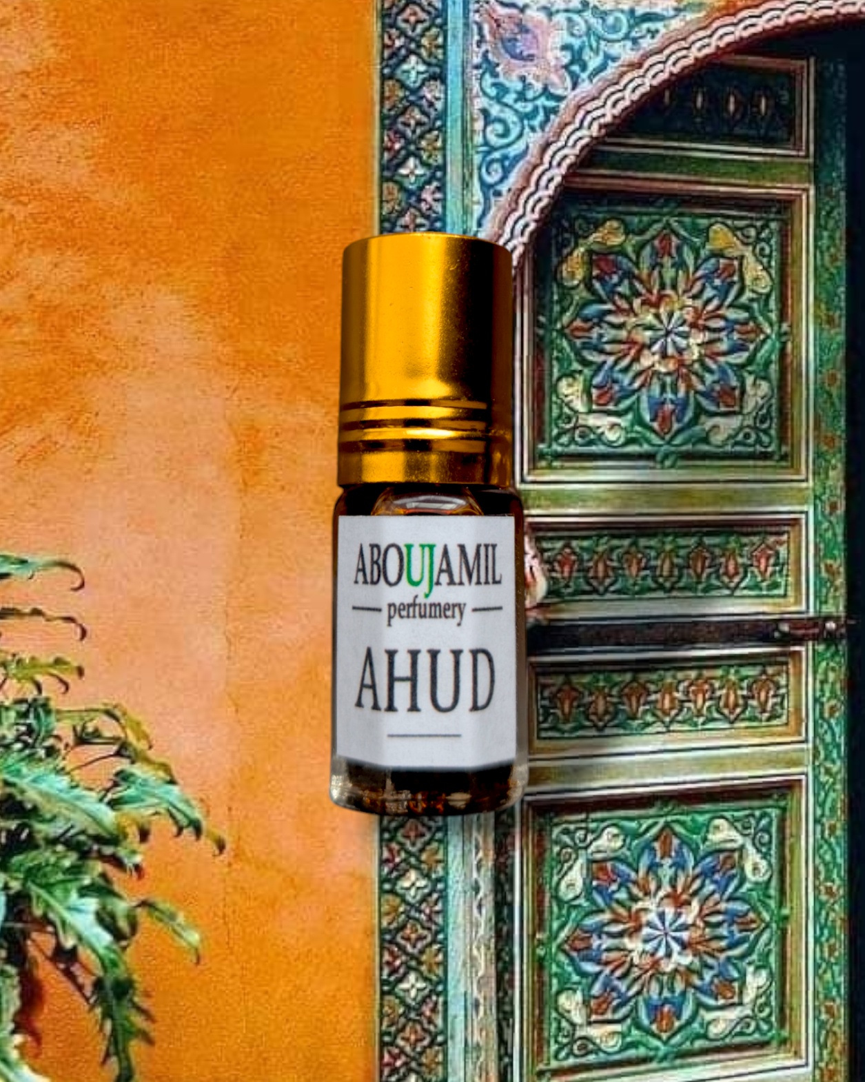 Image de AHUD