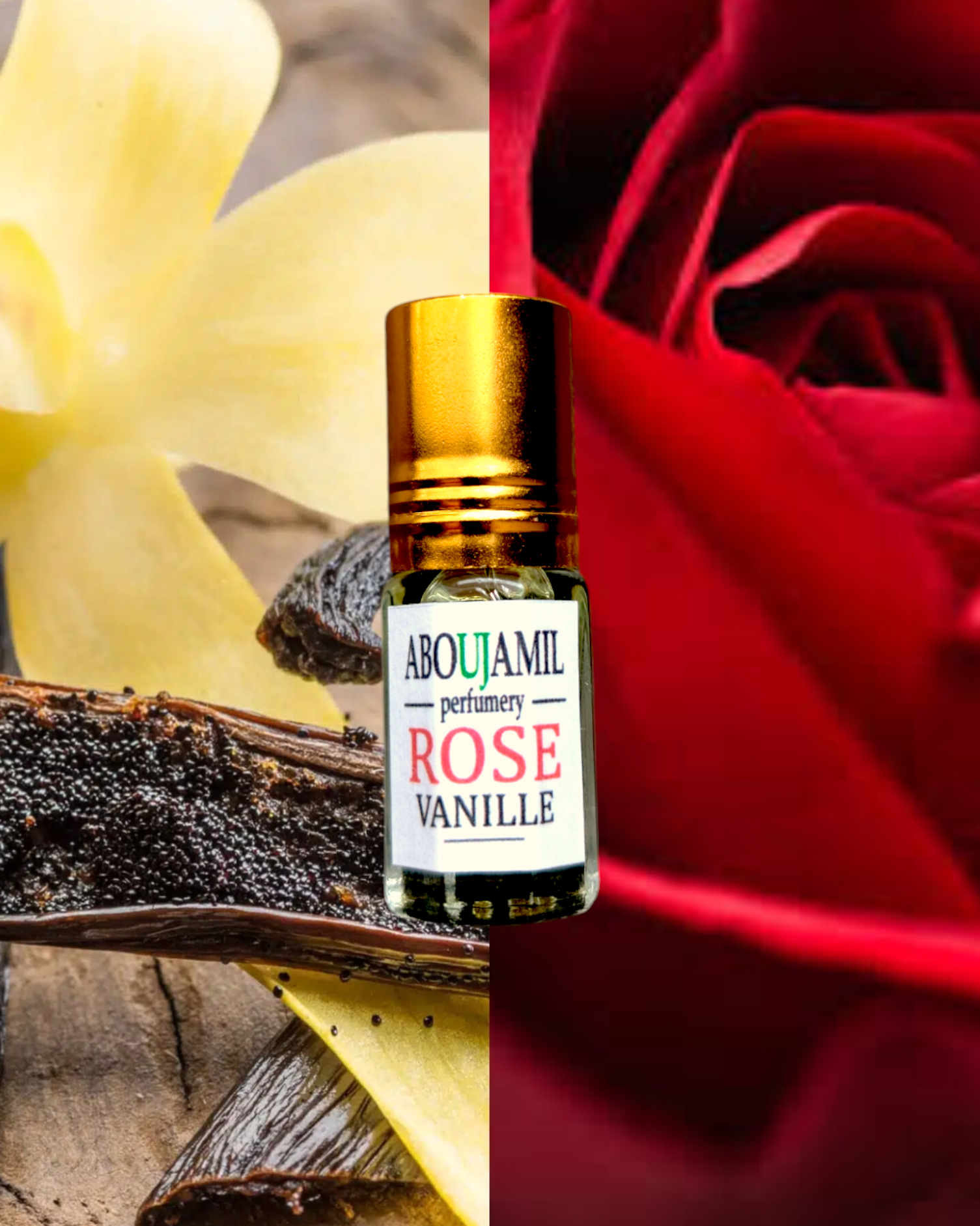 Image de ROSE VANILLE