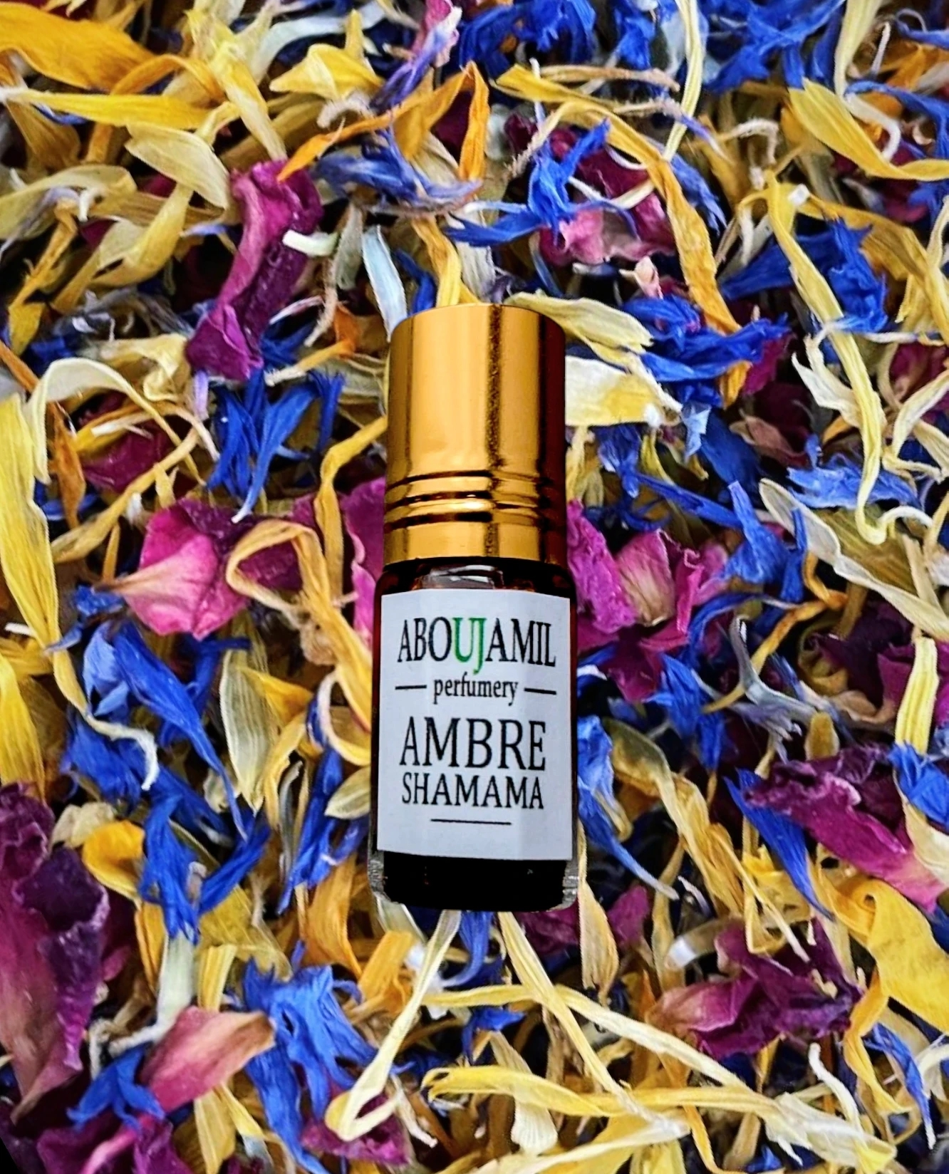 Image de AMBRE SHAMAMA