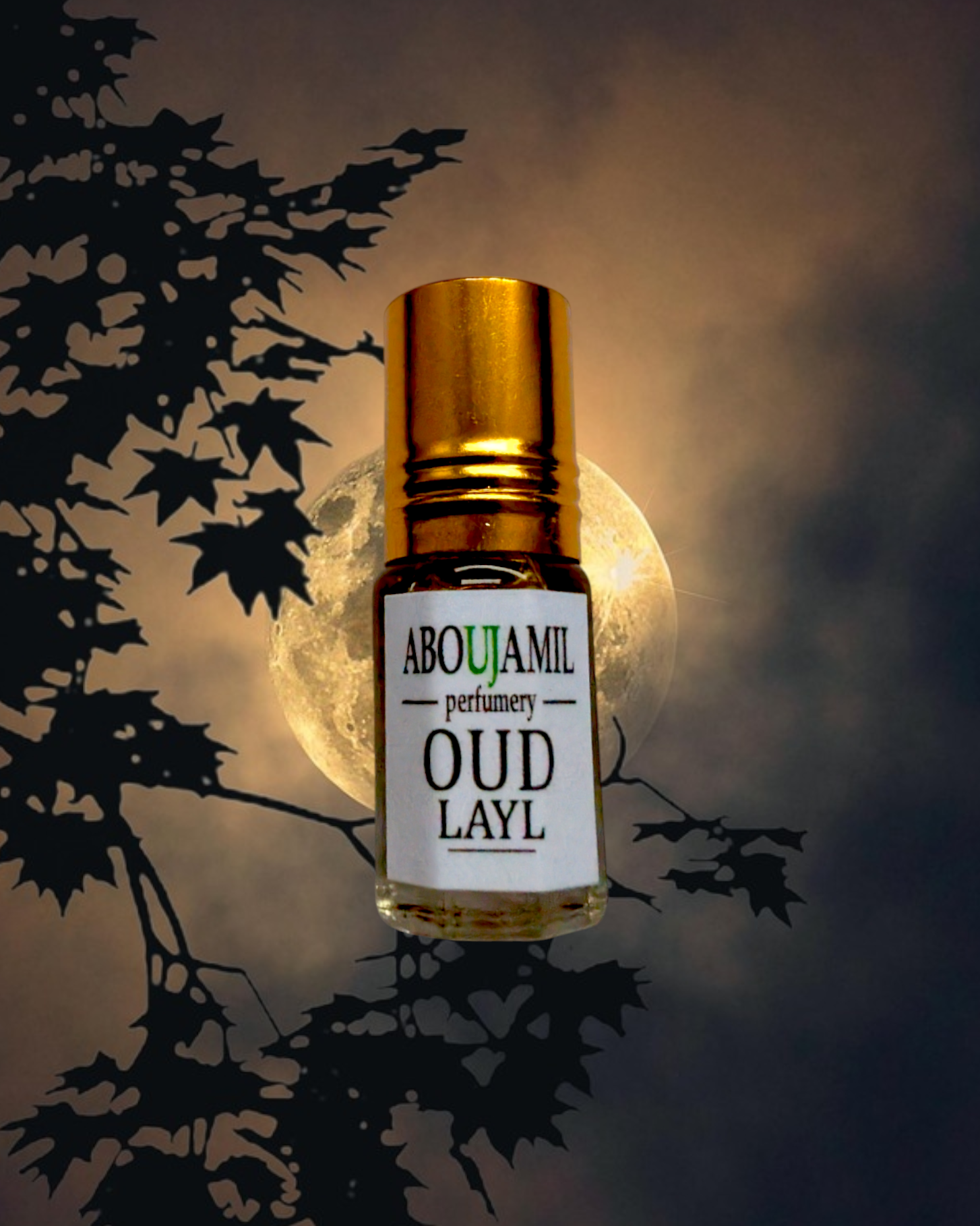 Image de OUD LAYL