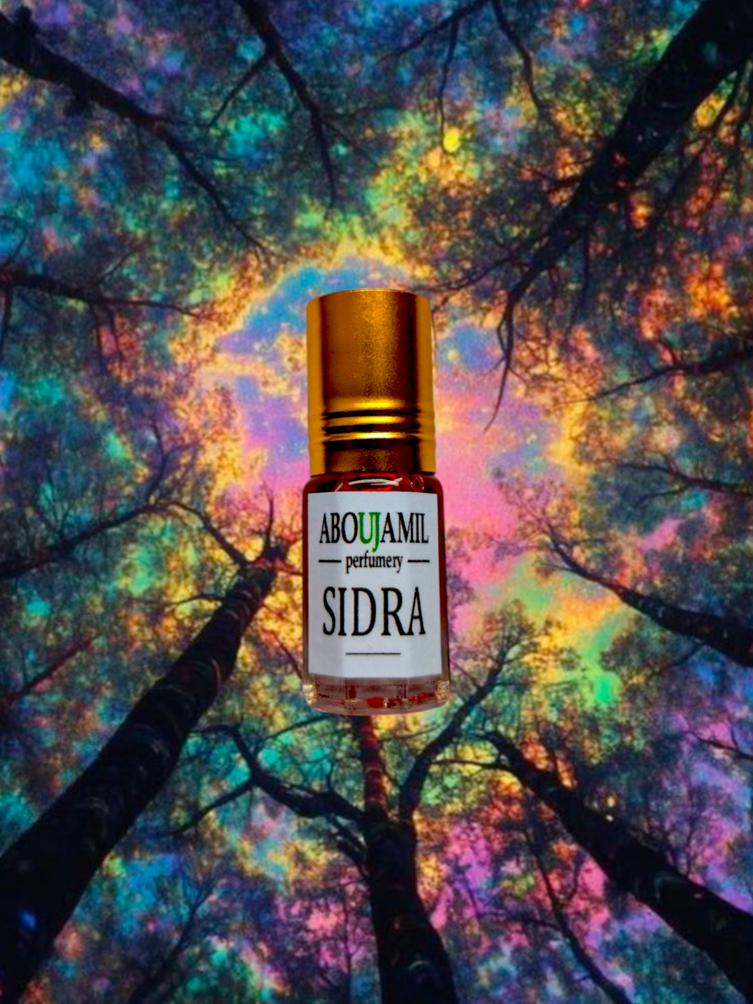 Image de SIDRA