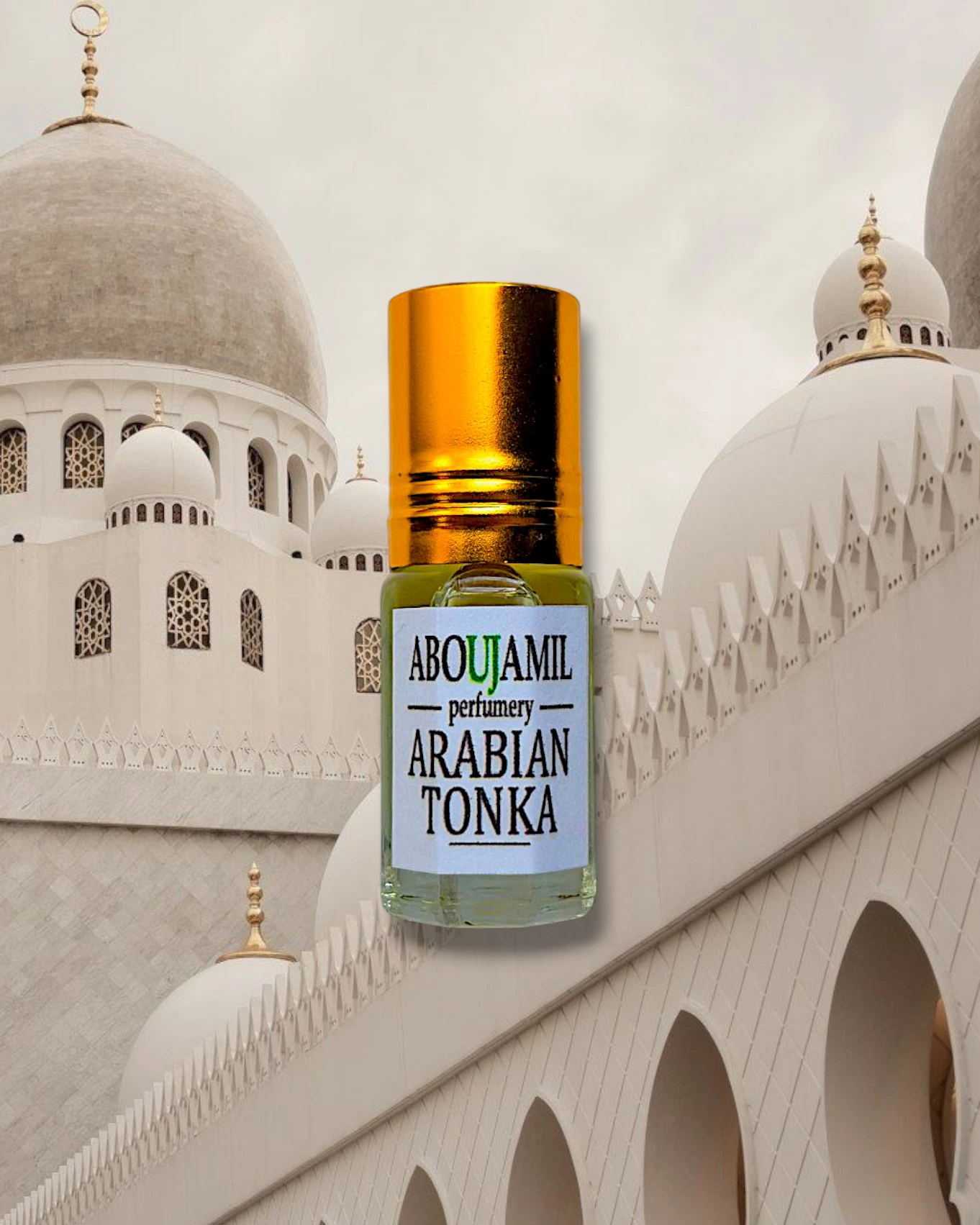 Image de ARABIANS TONKA