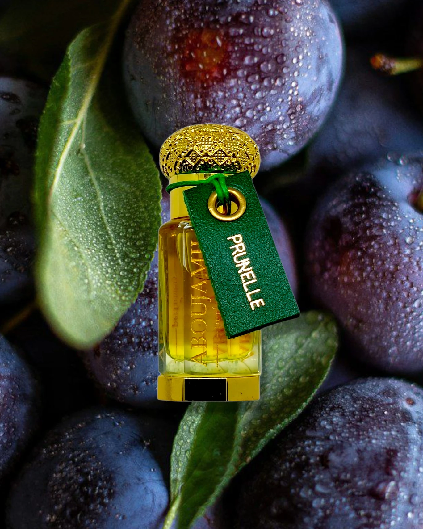 Image de PRUNELLE