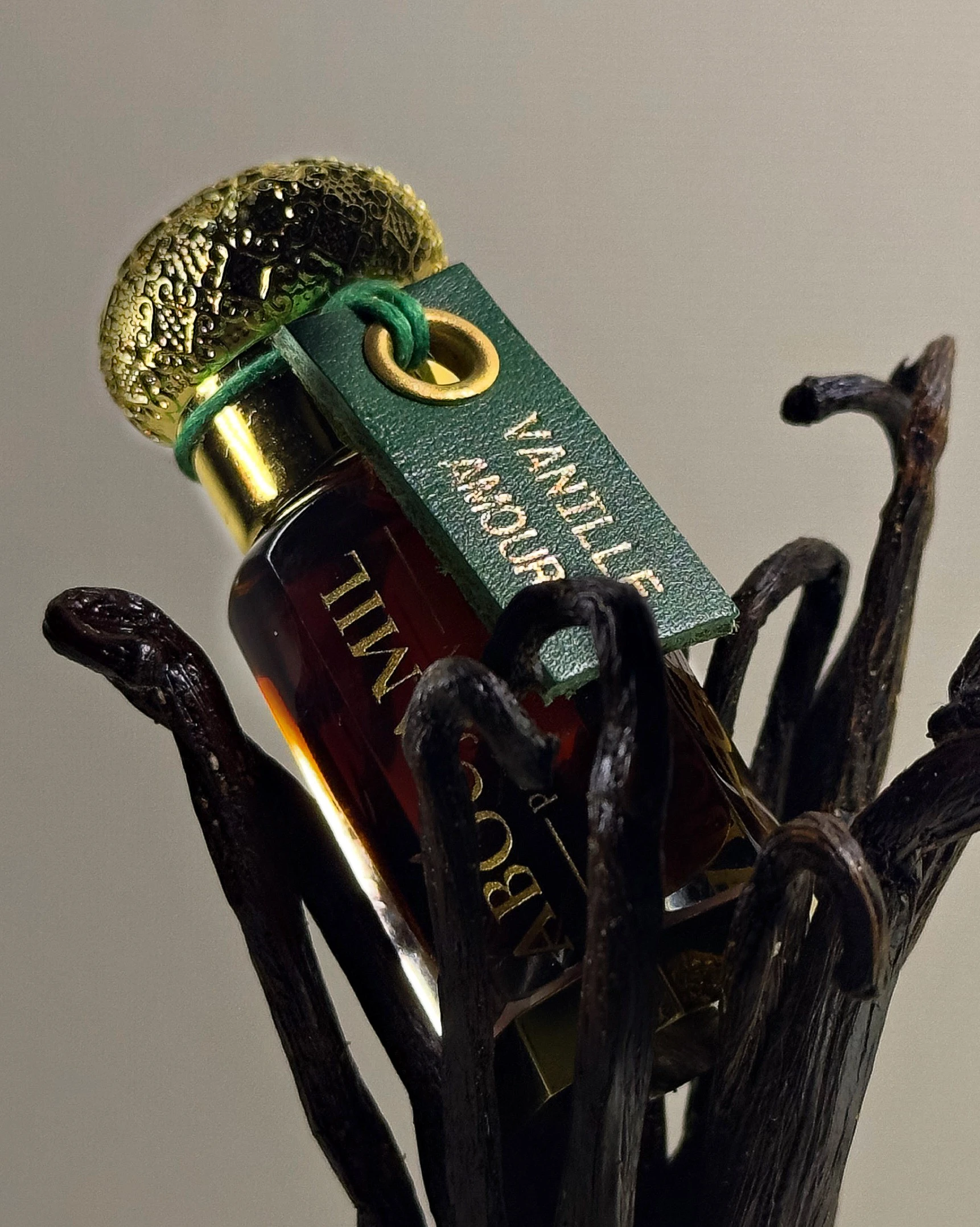 Image de VANILLE AMOUR