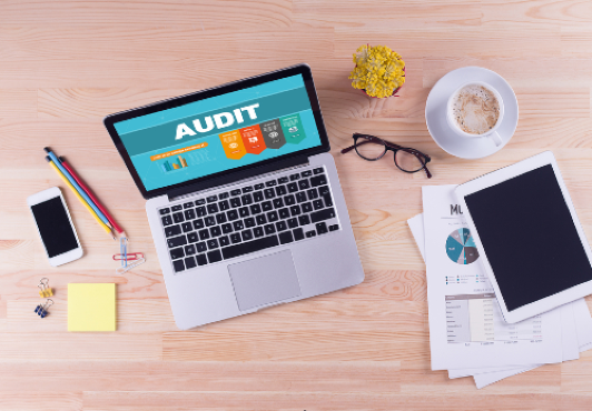 Audit interne qualité