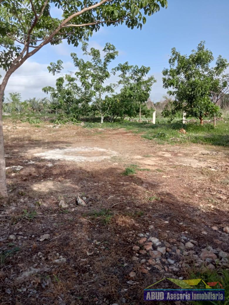 TERRENO EN POMUCH, CAMPECHE