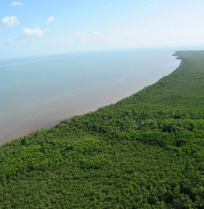 Terreno en venta en el municipio de ciudad del carmen