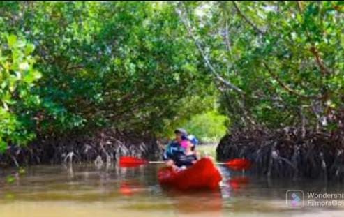 Terreno en venta en Carmen Campeche.