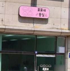 포포네몽 사진