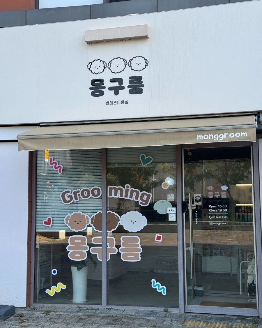 몽구름 사진