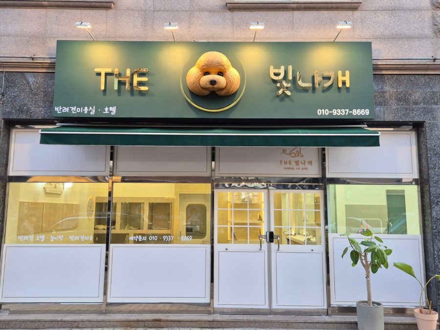 THE  빛나개 사진