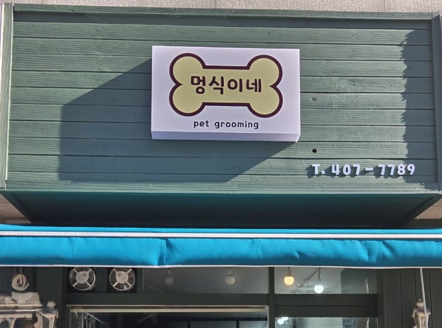 멍식이네 사진