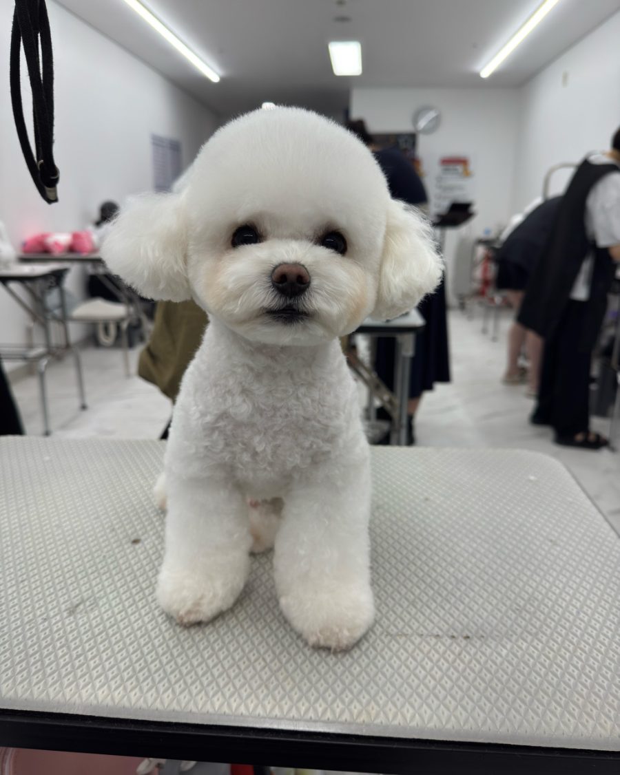 자격증반 수강생 후기 사진