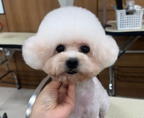 자격증반 수강생 후기 사진