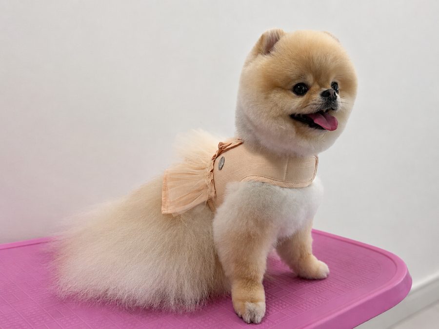 자격증반 수강생 후기 사진