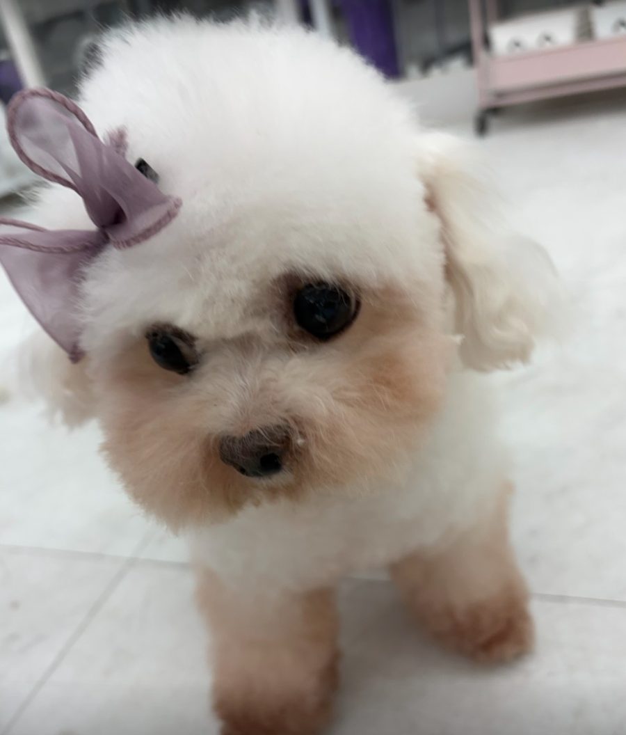 자격증반 수강생 후기 사진