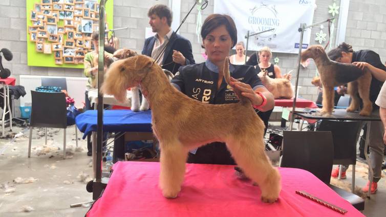 Au Paradis Canin cover
