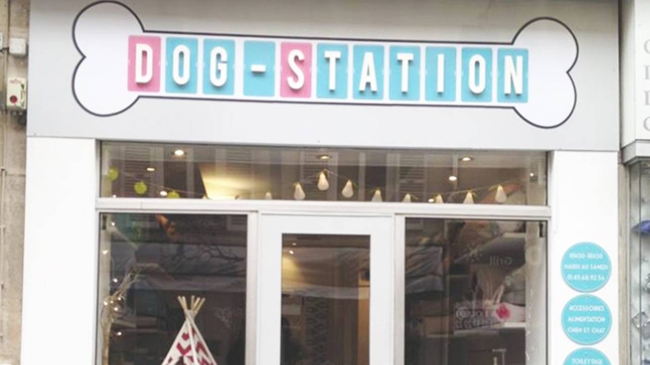 Dog Station cover