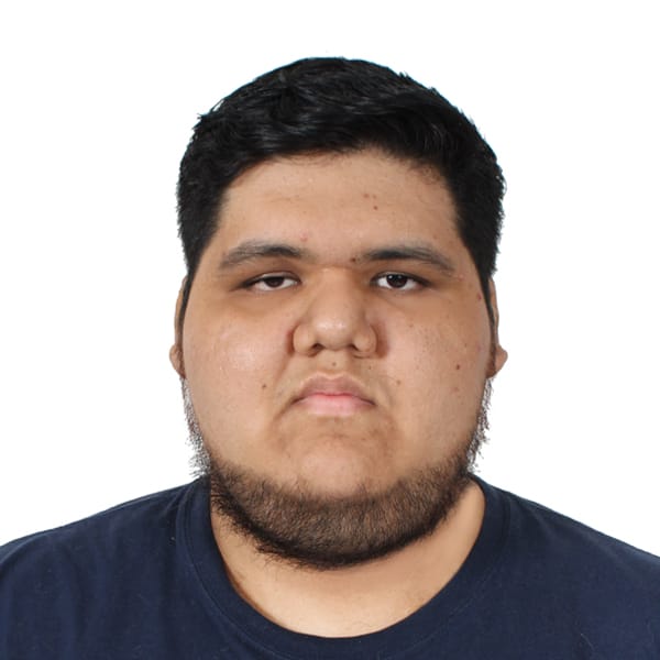 A portrait of the software engineer