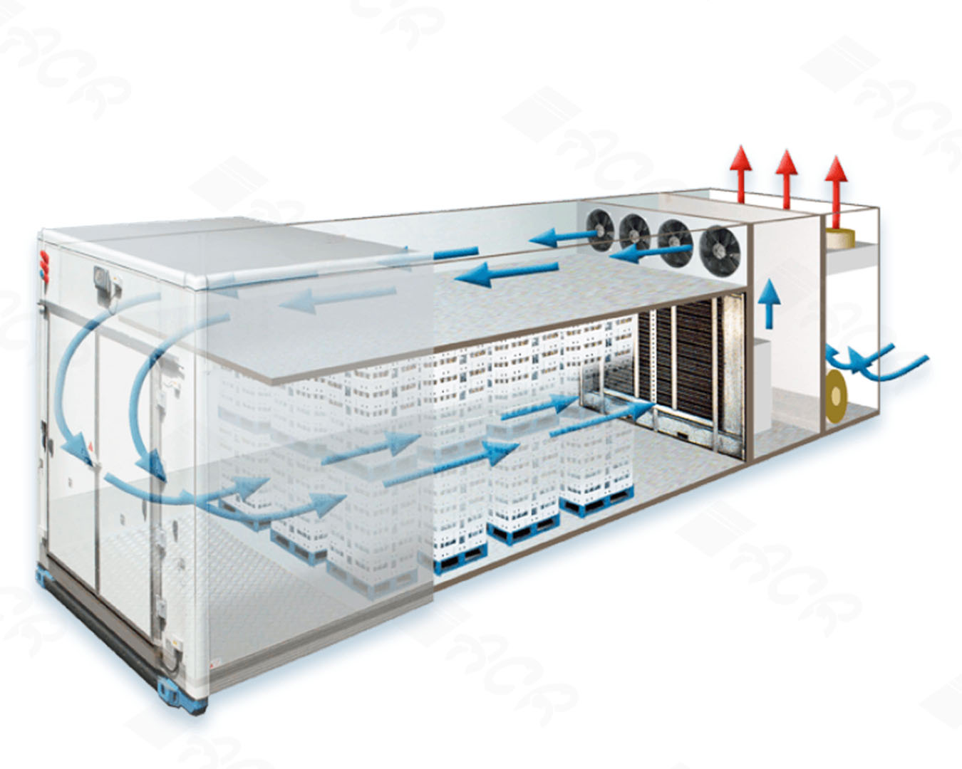 Air Blast Freezer