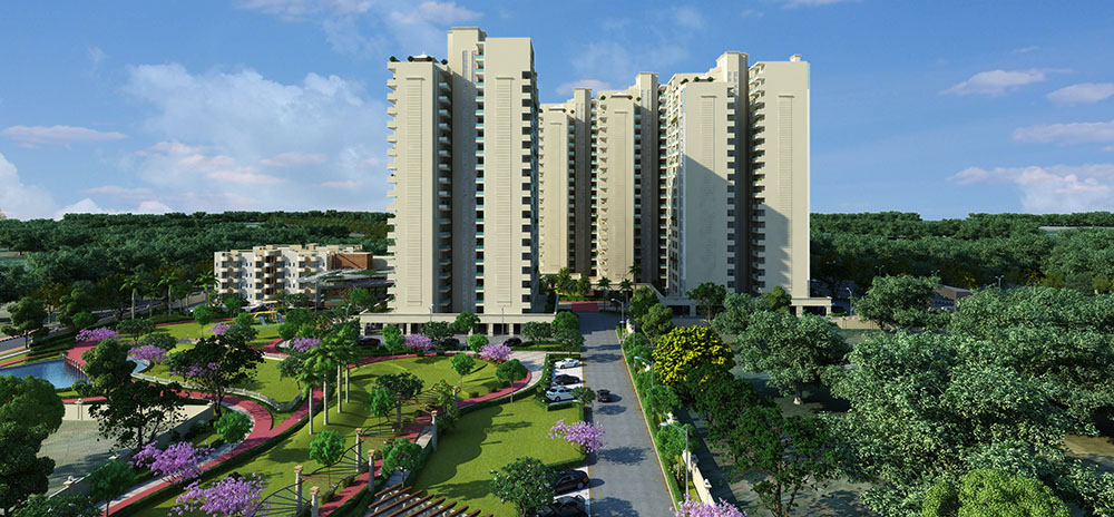 project image of Enorme