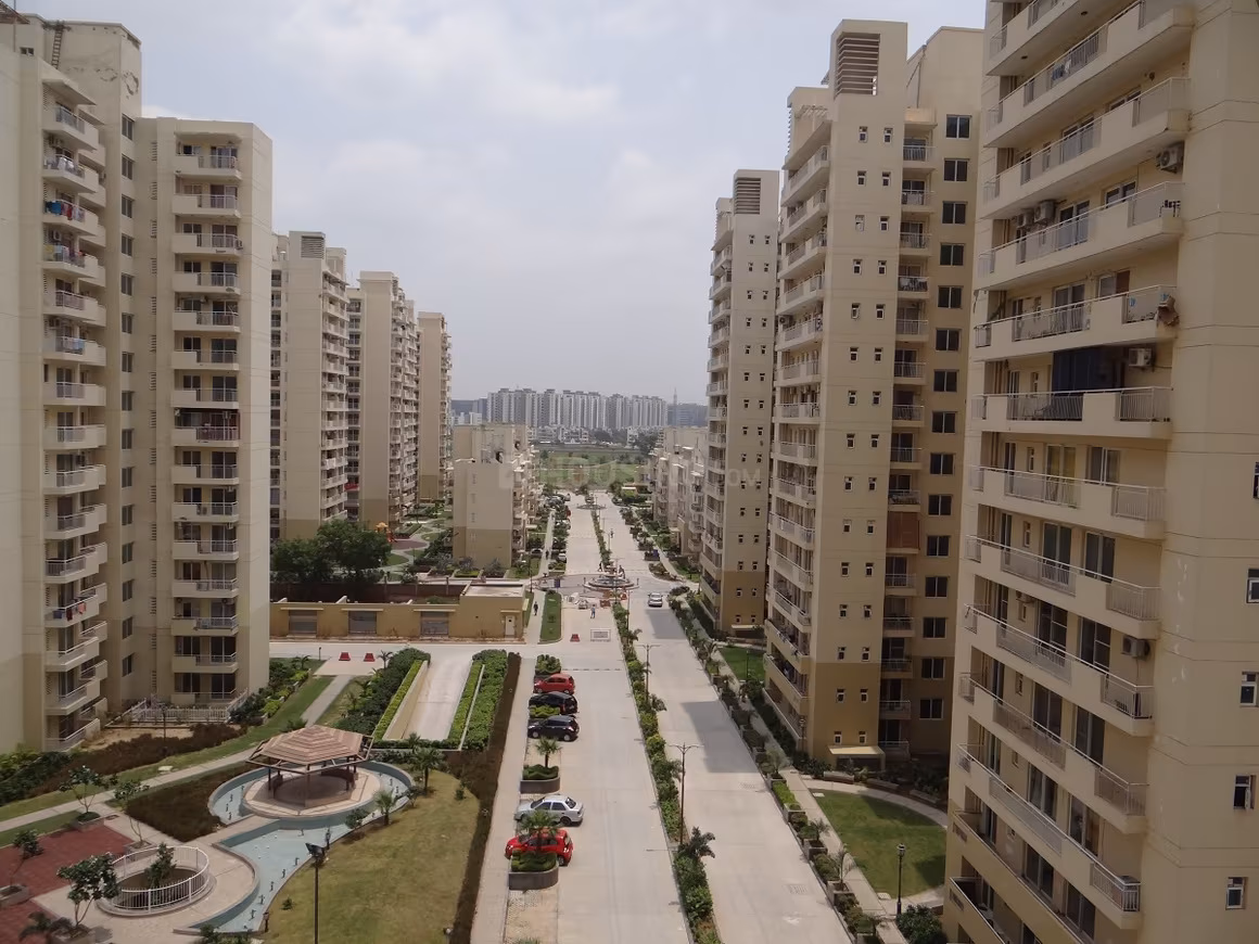 project image of Avenue 71