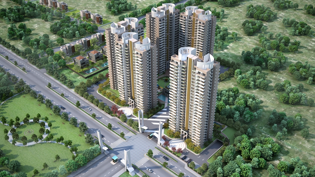 project image of Primera