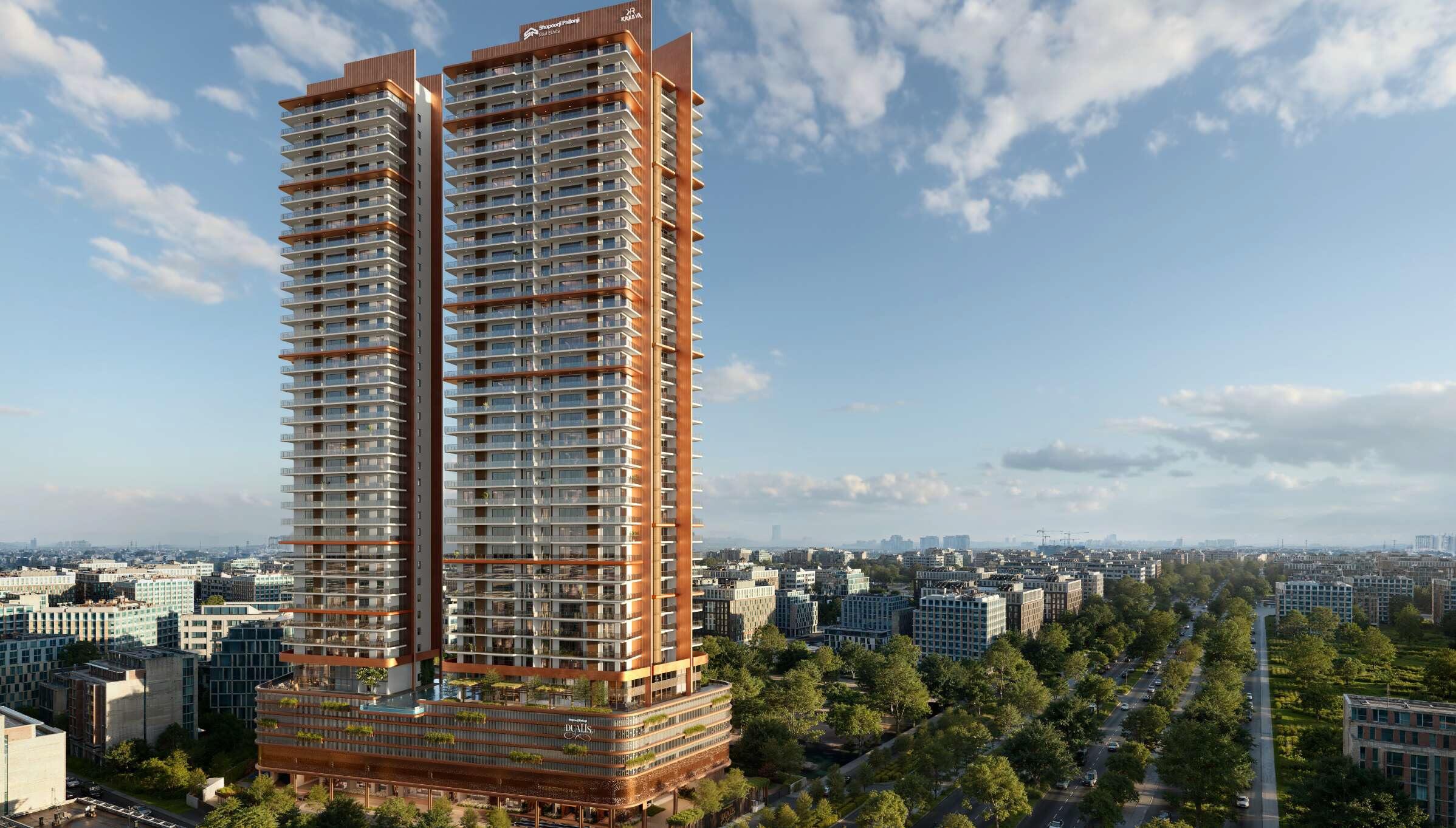 project image of The Dualis 