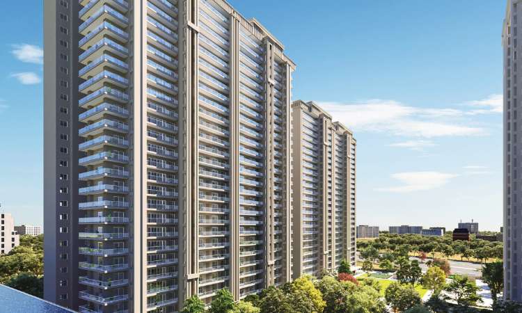 project image of Vrikshya 