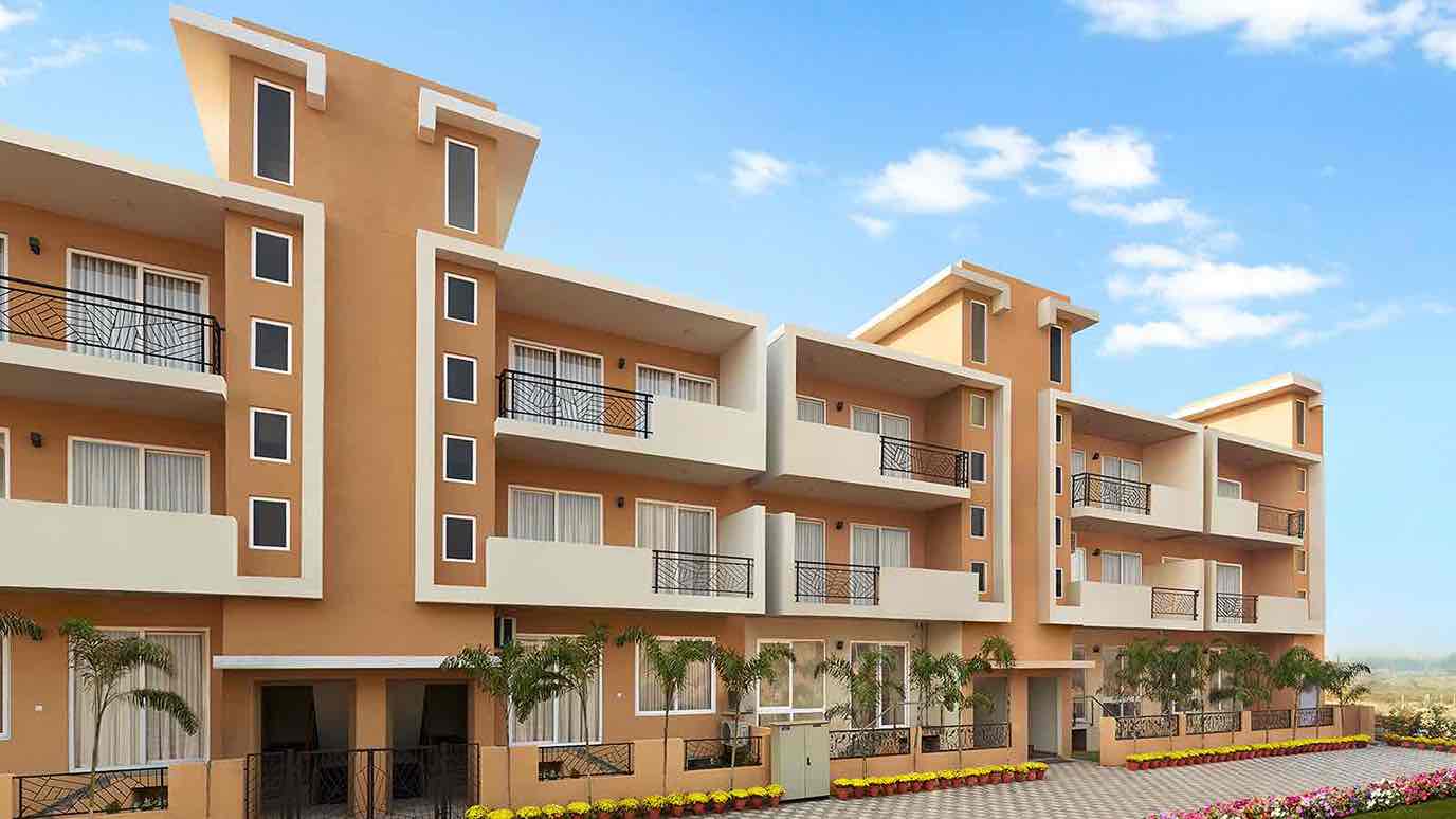 project image of Flower Valley Flamingo Floors 