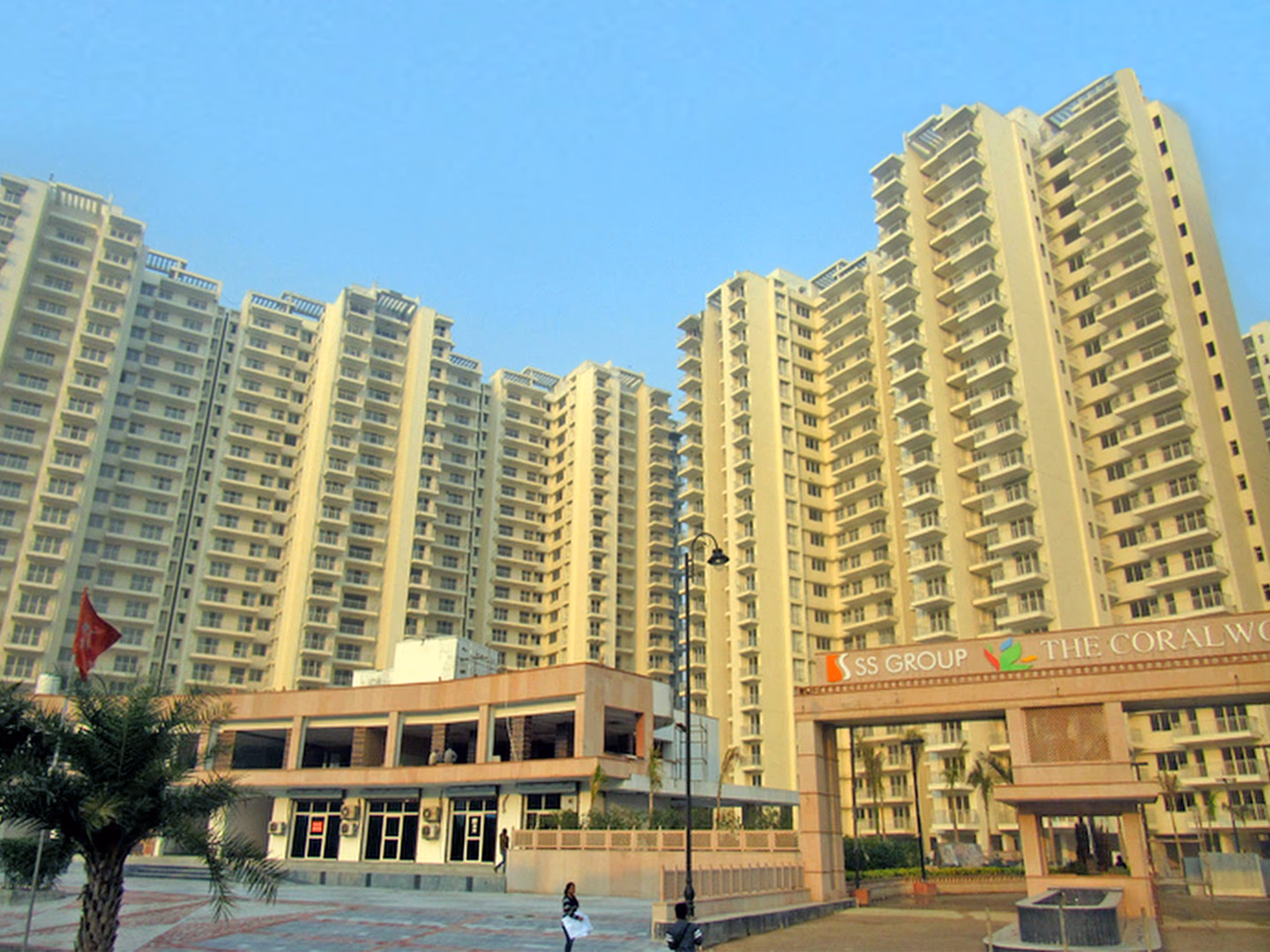 project image of The Coralwood