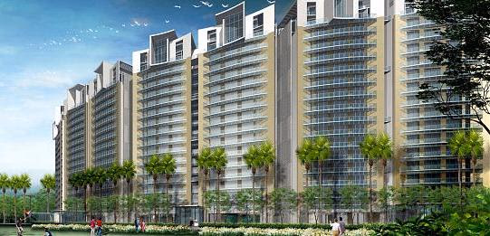 project image of La Lagune