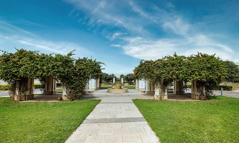 thumbnail image of Alameda