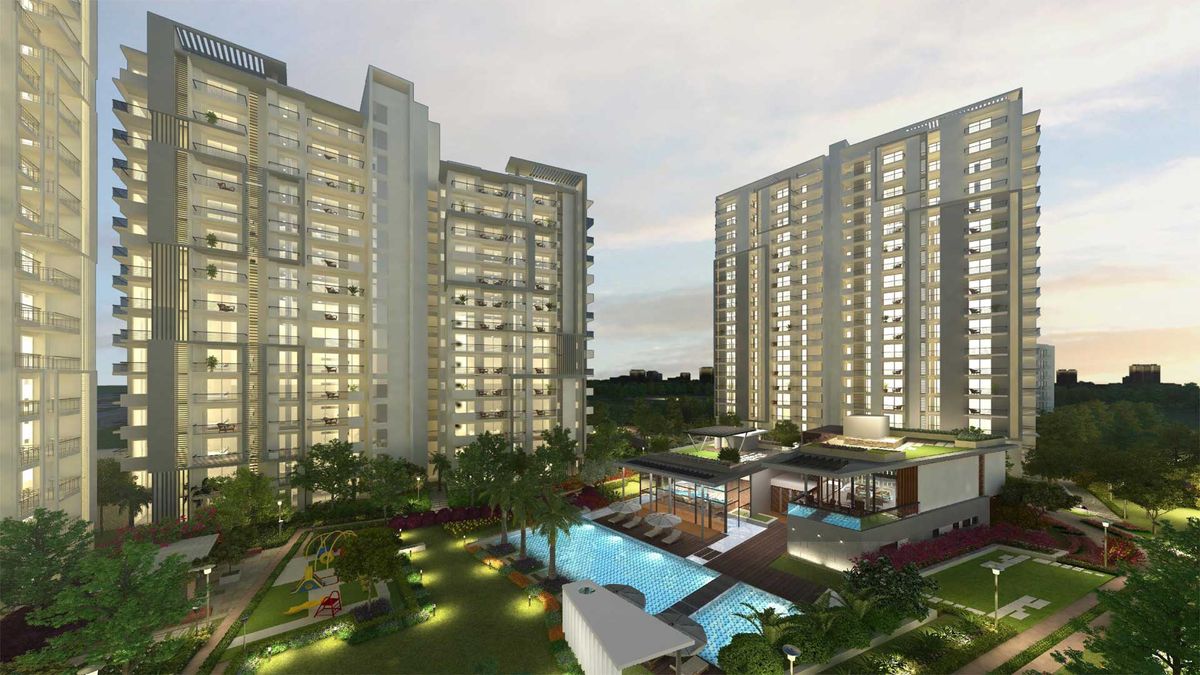project image of  Oasis