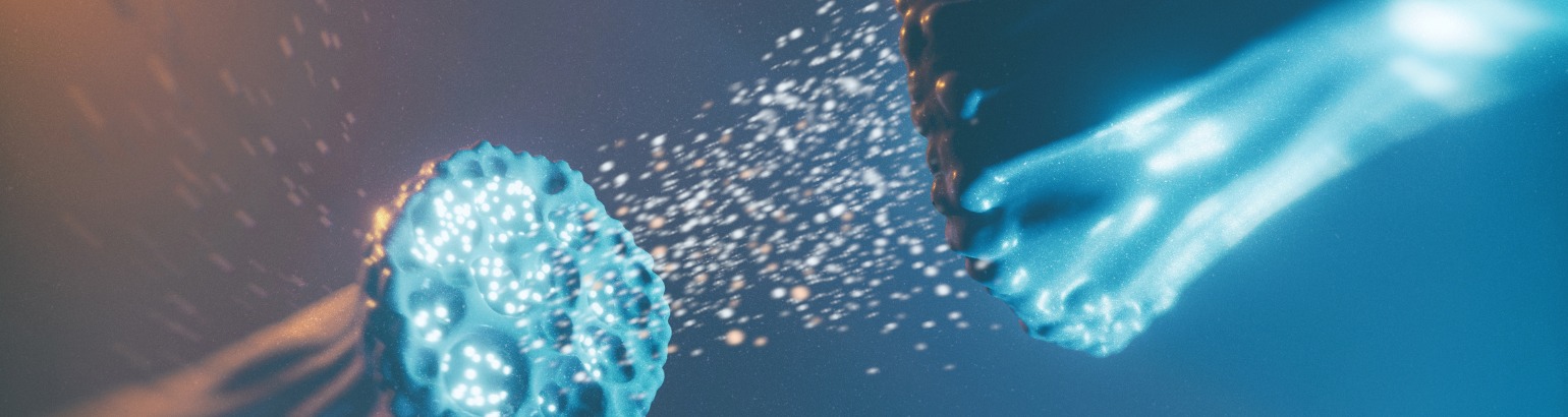 Banner conclusión