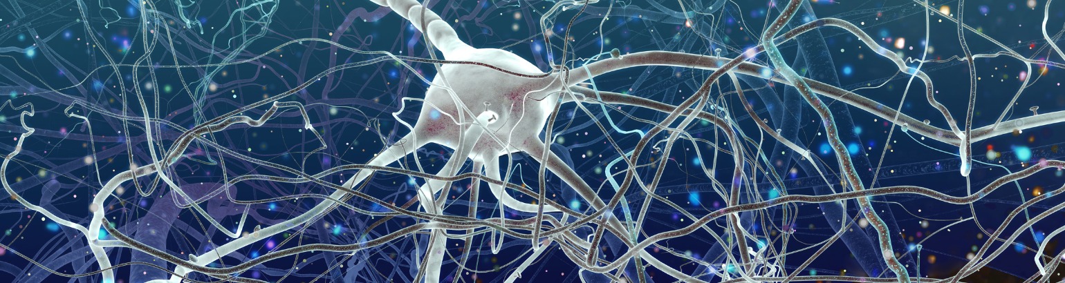 Estimulación Magnética Transcraneal: Principios, Parámetros y Mecanismos de Acción