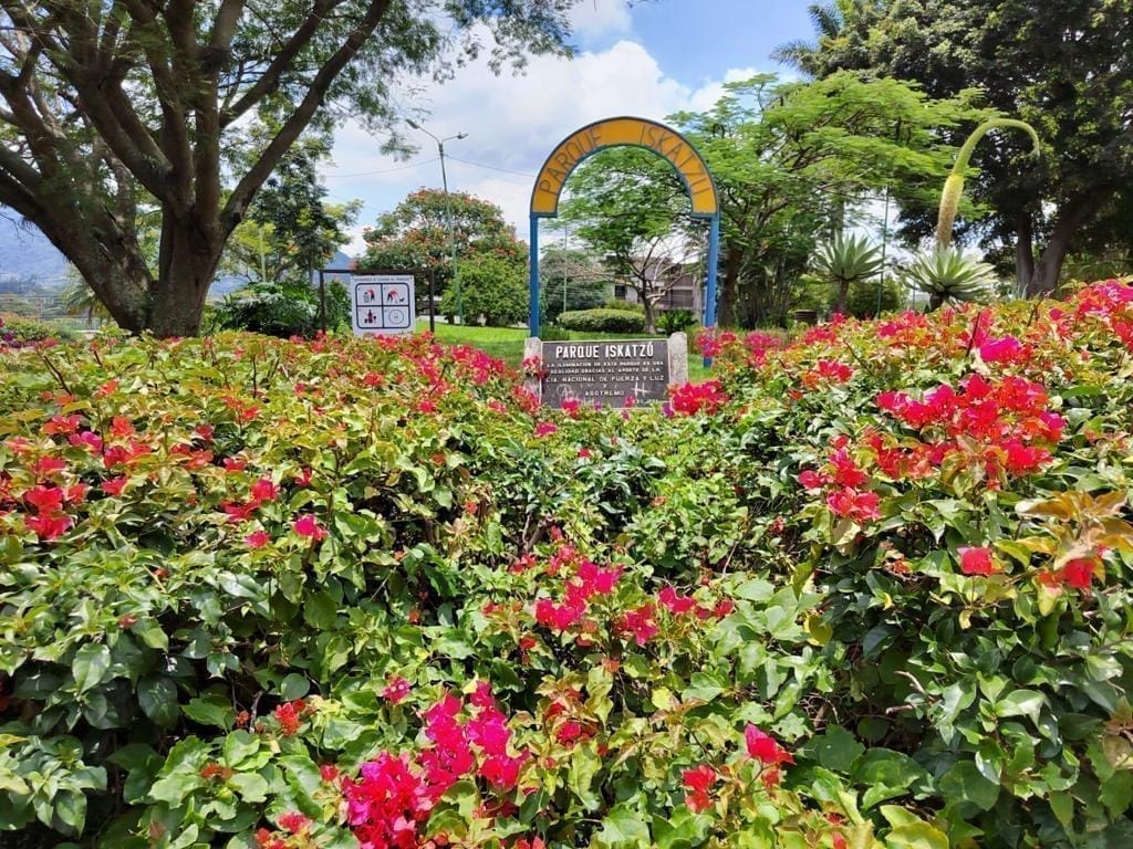 Mantenimiento de Áreas Verdes y Parques