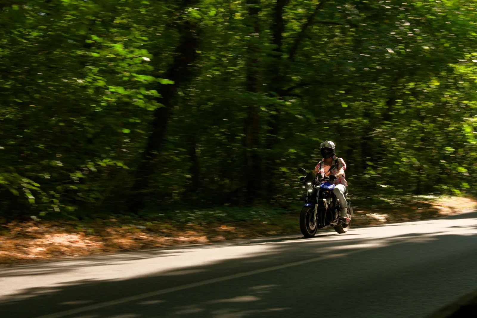 Yamaha FZS 600 Fazer