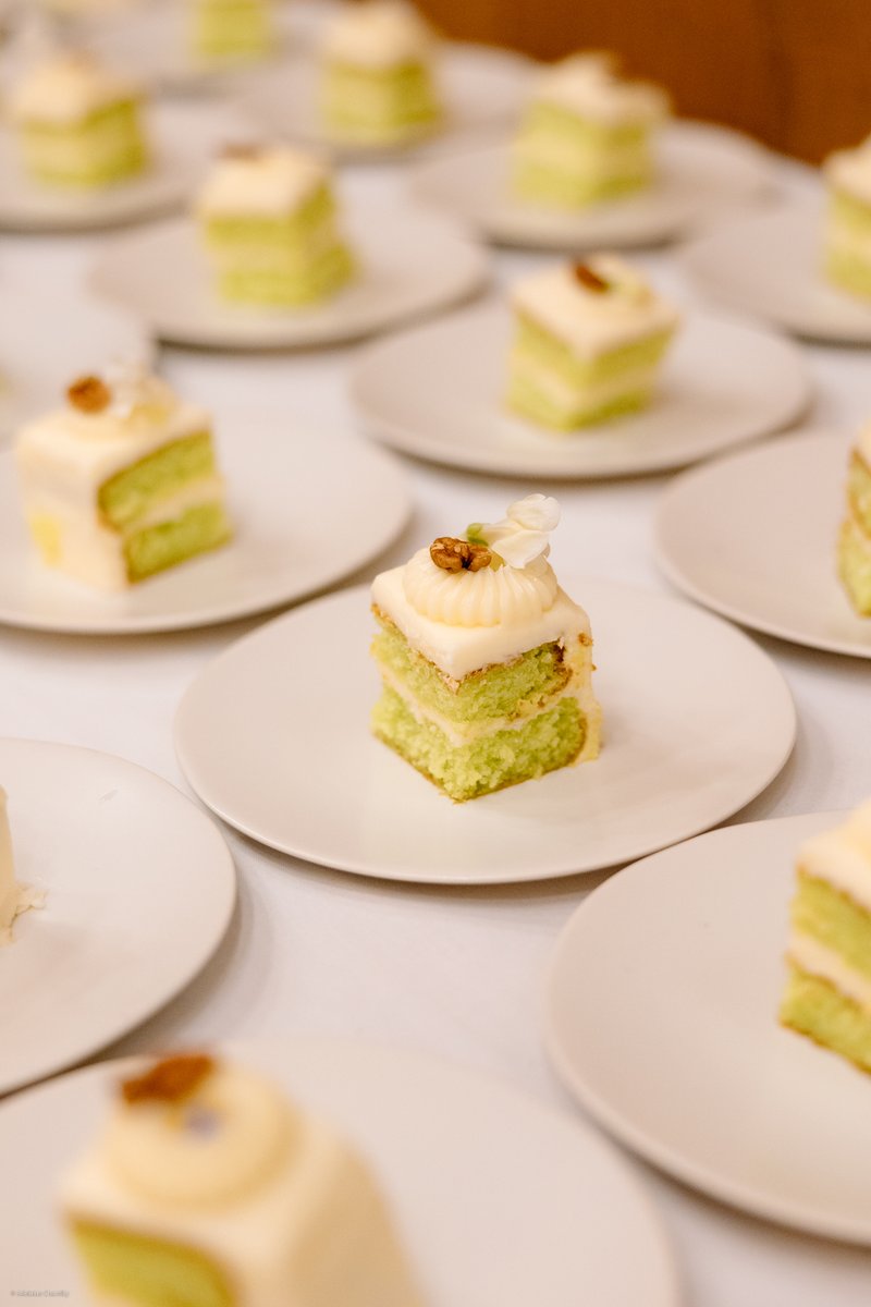 A close-up shot showcases an array of individual mini square cakes, each meticulously placed on a small white plate. The