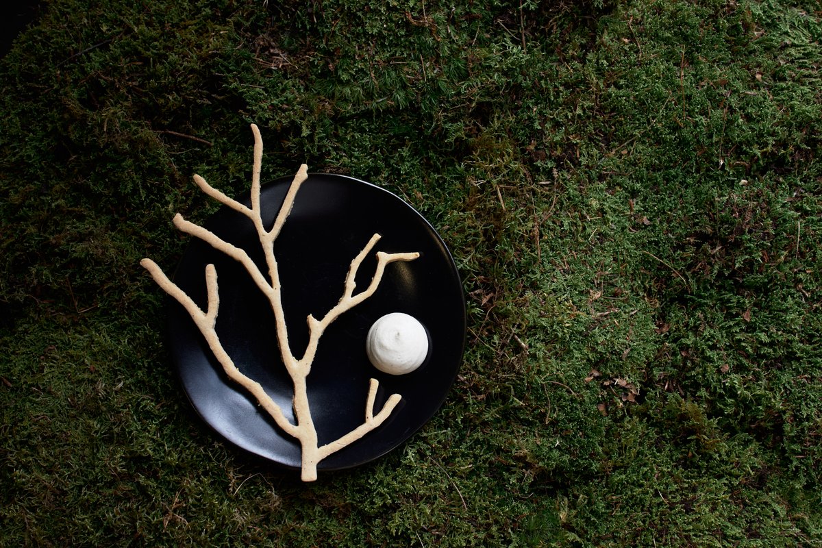 An artfully presented dessert features a light beige, branch-shaped cookie and a scoop of white ice cream or sorbet on a