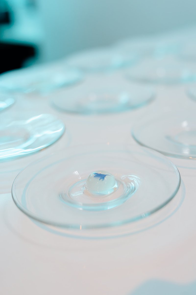 A single, delicate spherical dessert or amuse-bouche, possibly a panna cotta or jelly, is presented on a clear, modern g