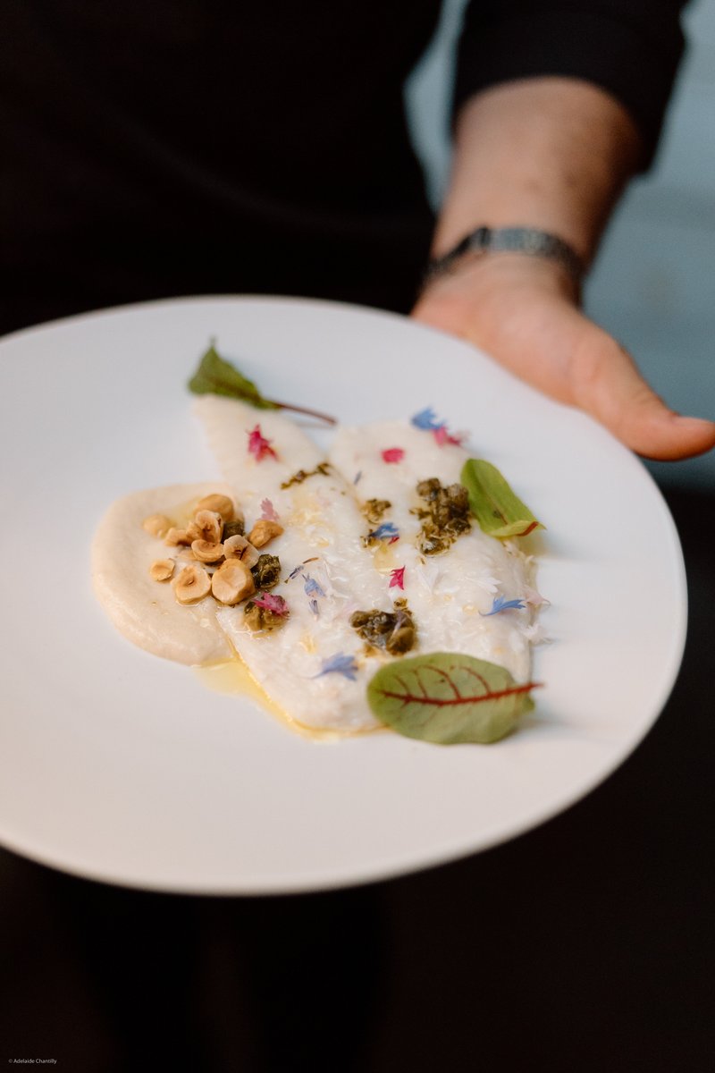 A server's hand presents a beautifully plated dish on a white plate, featuring a light-colored protein, a creamy puree, 