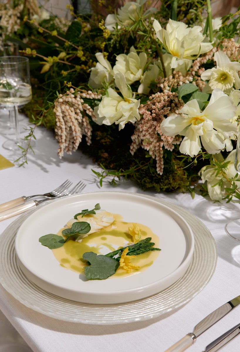 A beautifully plated dish featuring delicate white flakes, green leaves, and a light yellow sauce, is meticulously arran