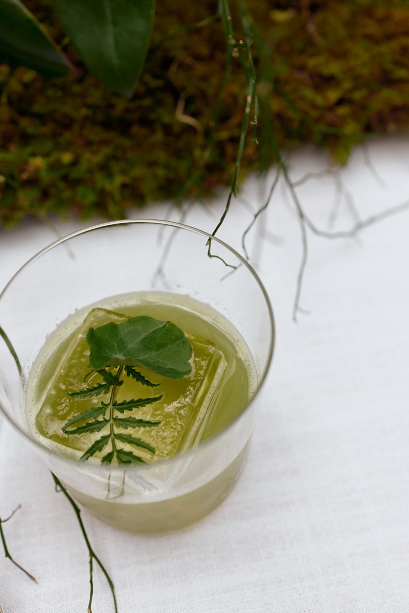 A vibrant green cocktail is presented in a clear glass, featuring a large ice cube and garnished with a delicate fern fr