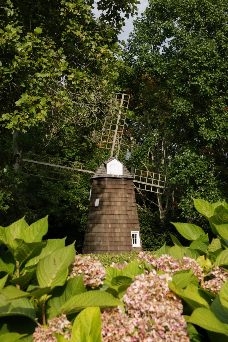 A charming wooden windmill stands nestled among lush green trees and flowering bushes. The foreground features soft pink