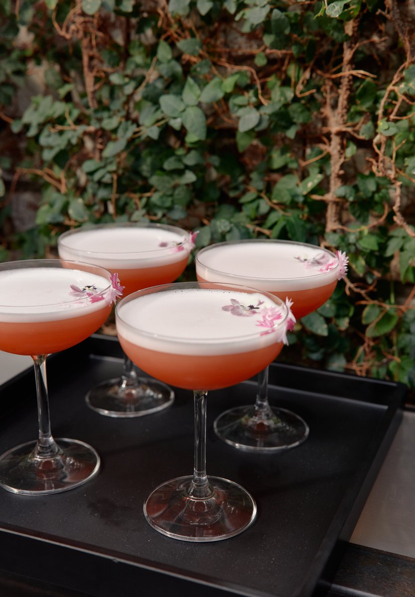 Four vibrant pink cocktails with white foam and delicate pink floral garnishes are neatly arranged on a black tray. The 