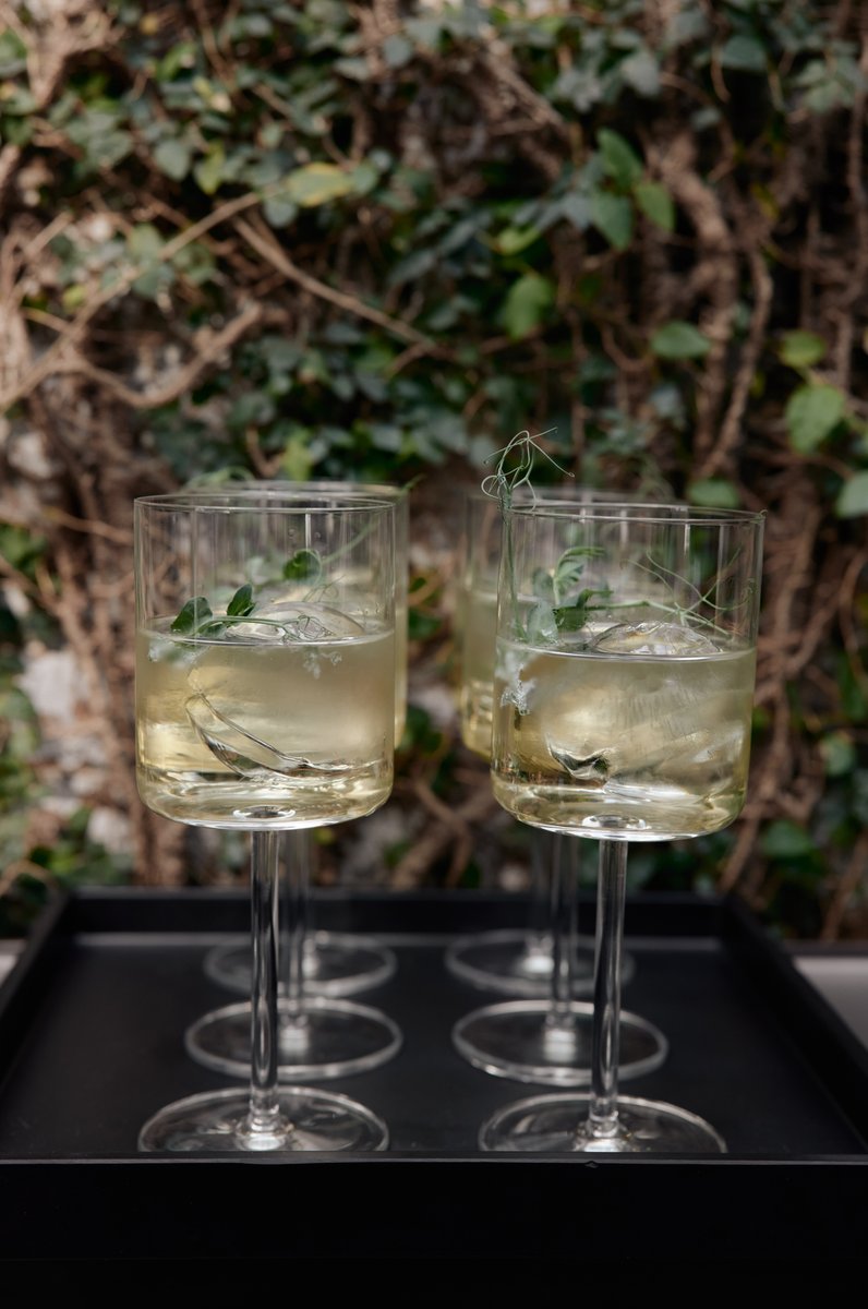 Several elegant cocktails, garnished with fresh pea shoots and containing large ice cubes, are neatly arranged on a blac