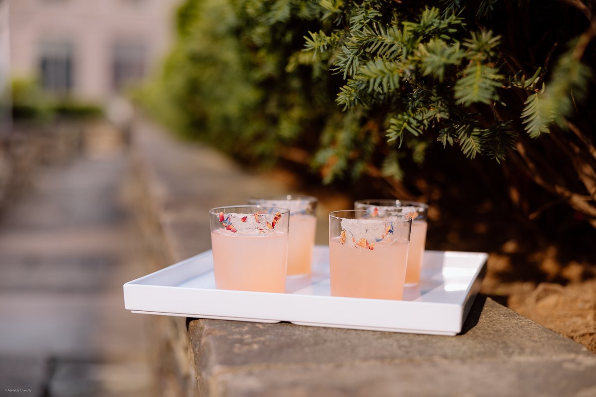 Four refreshing pink cocktails, garnished with what appears to be a salt rim and dried flower petals, are neatly arrange