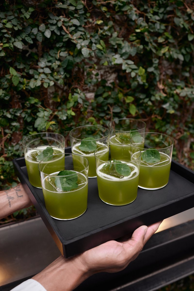 A server carries a black tray with six vibrant green cocktails, each garnished with a single leaf and a large ice cube. 