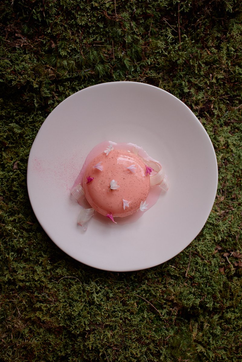 A delicate pink dessert, possibly a mousse or panna cotta, is presented on a white plate. It's garnished with small whit